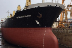vira55